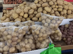 Картофель со столичным ценником на Ставрополье заметили специалисты