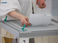 Основатель издательского холдинга и аппаратчик с «Еврохима»: еще два ставропольца метят в Госдуму