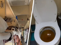 Пассажиры с детьми сидят более 12 часов без еды, света и туалетов в поезде Ростов — Минеральные Воды