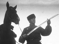 Погоня казака за сбежавшей от него лошадью попала на видео в Кисловодске