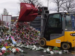 Цветочная отрасль на грани разорения: российские предприниматели объединяются, чтобы спасти бизнес