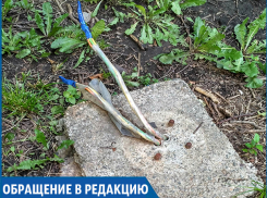 «Из-под земли торчат электропровода, рядом гуляют дети», - житель Ставрополя