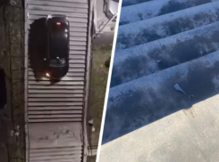 Таксист проехался по лестнице в Кисловодске и попал в руки инспекторов