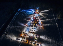 В Ставрополе соберут ёлку из 200 автомобилей