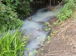 После сообщений о грязной воде минприроды Ставрополья решило взять пробы из реки Татарка