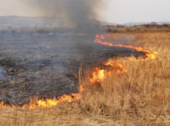 На Ставрополье из-за непотушенного костра загорелось поле