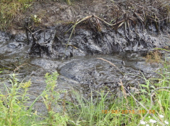 Нефтяная компания Ставрополья заплатит более 6,7 миллионов рублей за порчу сельскохозяйственных земель