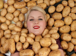 Стоимость картофеля и лука увеличилась на Ставрополье