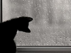 В воскресенье на Ставрополье прогнозируются ветер и осадки