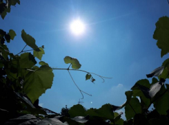 Понедельник в Ставрополе будет теплым и солнечным