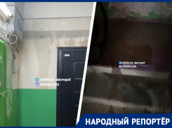 «Снова потекла вода»: ливень подтопил подъезд в многострадальном доме на Космонавтов в Ставрополе