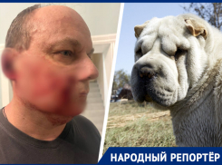 «Я прижался к калитке и стал стучать»: собака напала на ставропольца и покусала лицо