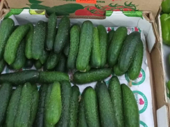 Огурцы снова в ударе: как менялись цены на продукты в Ставропольском крае за неделю