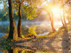 Синоптики обещают до +22 градусов в эту среду