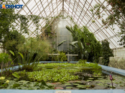 Власти Ставрополья прокомментировали скандал с Ботаническим садом 