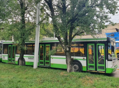 Автопарк общественного транспорта Ставрополя пополнился б/у автобусами из Москвы
