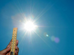 Теплая погода и порывы сильного ветра ожидаются в четверг на Ставрополье