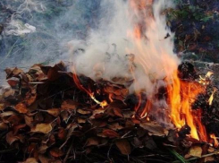 На едкий дым от сгоревших листьев пожаловались ессентучане в соцсетях