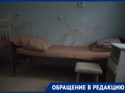 Клубки змей, хамовитые доктора и обшарпанные стены: жительница Ипатовского горокурга о реалиях местной медицины 