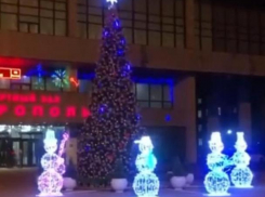 Снеговики «взяли в плен» елку возле ставропольского дворца культуры