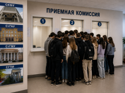 Сколько стоит обучение на самых популярных специальностях в вузах Ставрополя в 2026 году 