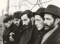 Трагедия без срока давности: забытые жертвы Холокоста на Ставрополье