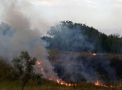 Хулиганы подожгли траву и устроили пожар рядом с кладбищем в Ставрополе