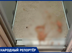 Фекалии в подъезде надоели жителям многоквартирного дома в Ставрополе 