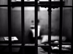 В Ставрополе преступник-рецидивист убил свою знакомую в лесу из-за автомобиля