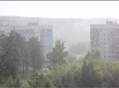 В крае ожидаются дождь, гроза и сильный ветер