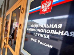 ФАС заблокировала тендер мэрии Ставрополя на елку за 49,5 миллиона