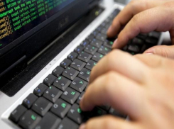 Названы самые высокооплачиваемые профессии края