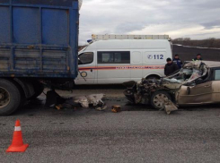 Страшная авария унесла жизни трех человек недалеко от Ставрополя