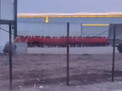 «Игра в кальмара» по-ставропольски: что происходит в Солнечнодольске 