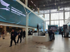 Международные терминалы аэропортов Ставрополя и Минвод ждет масштабное обновление к 2029 году