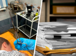 После травмы ребенка металлическим штырем в парке Пятигорска следком организовал проверку 