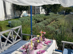 Скорее приобретай билеты и приезжай на ферму «Трава» 