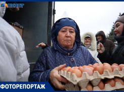 В снегодождь и сильный ветер ставропольчане пошли на ярмарку за куриными яйцами