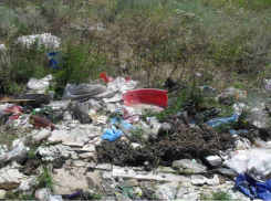 Огромная свалка мусора обнаружена в Левокумском районе
