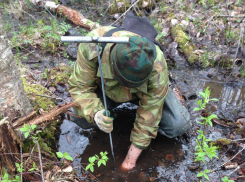 Кадетский поисковый отряд вернулся на Ставрополье