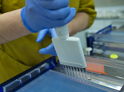 Стать донорами костного мозга просят ставропольцев