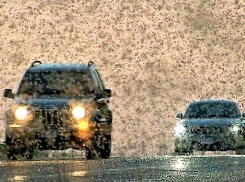 Режим ЧС из-за нашествия полчищ саранчи введен на территории Ставропольского края