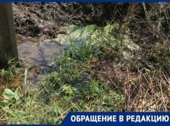По колено в воде: расчистка русла Члы в Михайловске вызвала возмущение у местных жителей