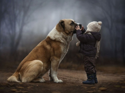 Туманный и холодный день ждет ставропольцев в среду 