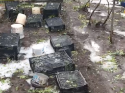 «Апокалипсис у нас был, картошечка полегла»: град и ливень добили жителей села на Ставрополье