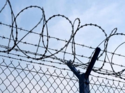 Насильника трех малолетних девочек отправили в колонию строгого режима на Ставрополье