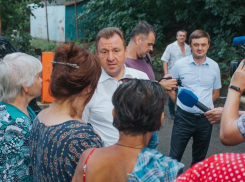 Мэр Ставрополя заявил, что на улице Чехова не будут вырубать деревья