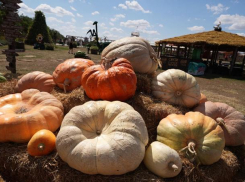 Почему отдыхать в «Пономарево» выгодно? 