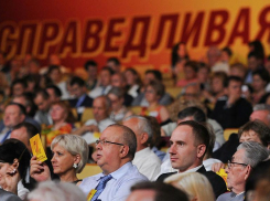 Представлять Ставрополье на выборах в Госдуму от эсеров будут зампред, депутаты и бизнес-омбудсмен