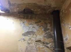 Плачевное состояние хирургического отделения больницы возмутило жительницу Пятигорска